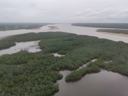 Возобновление любительского лова лосося на реке Печора