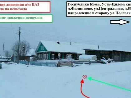 В Усть-Цилемском районе неустановленный водитель сбил молодую женщину
