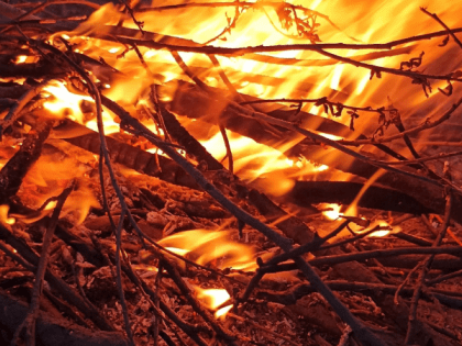 В Коми произошло7 пожаров