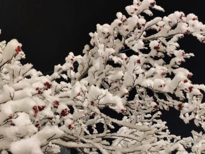 В 2022 году в Коми зафиксировано семь опасных природных явлений