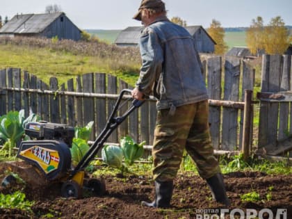 В Республике Коми ученые нашли способ повысить плодородие почв