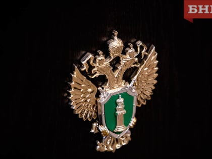 Усть-куломская прокуратура оценит работу органов профилактики после огнестрельного ранения девочки