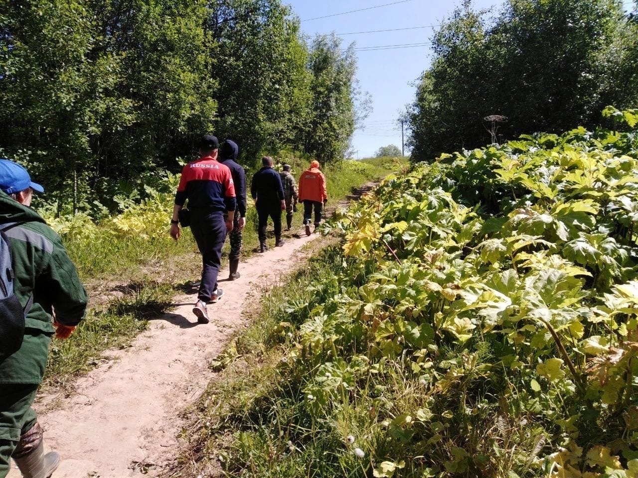 Пропавшая 40. Девушка потерялась в лесу. Трасса на даче. Сыктывкар происшествия 6.07.2022. Ушел в лес.