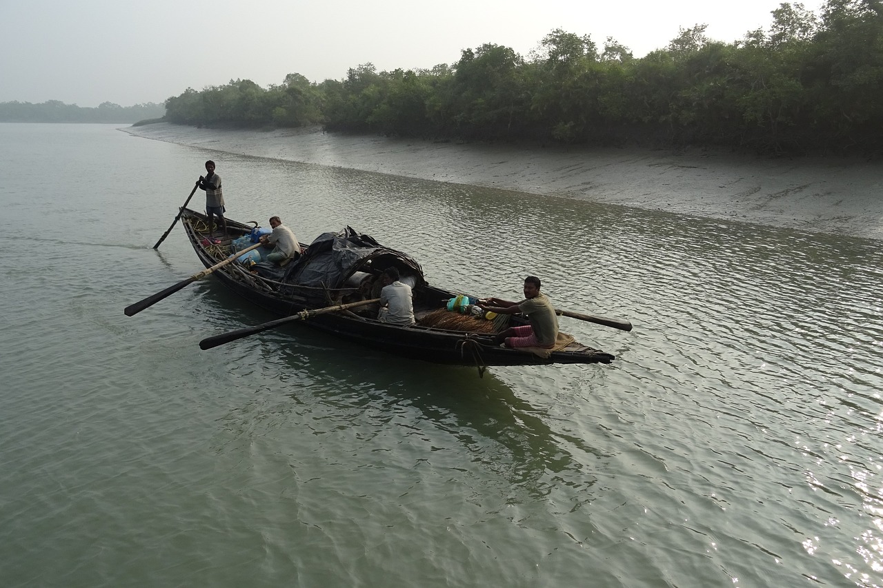 Sundarban Tour Bangladesh (3-Days) - Image 3