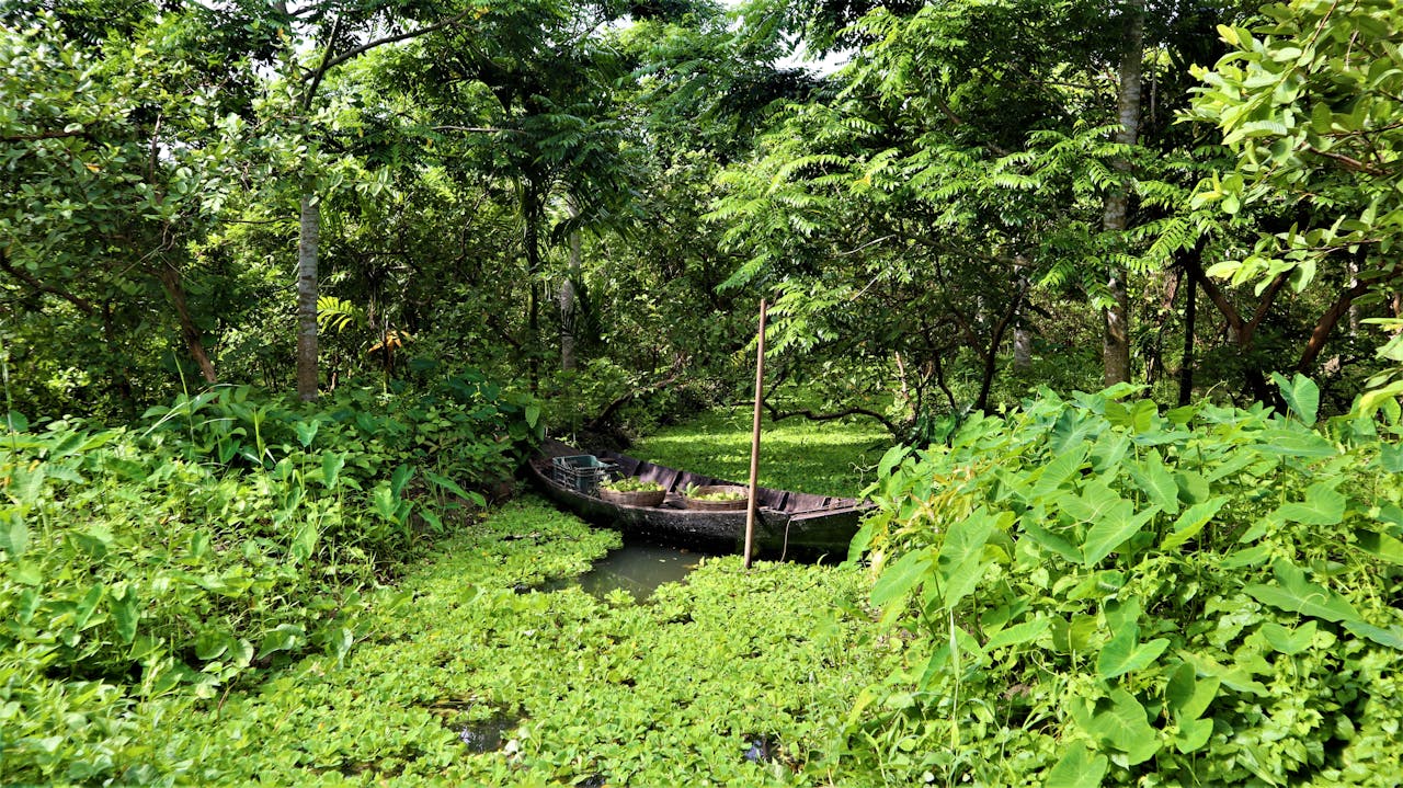 Barisal River Chronicles Tour - Image 7