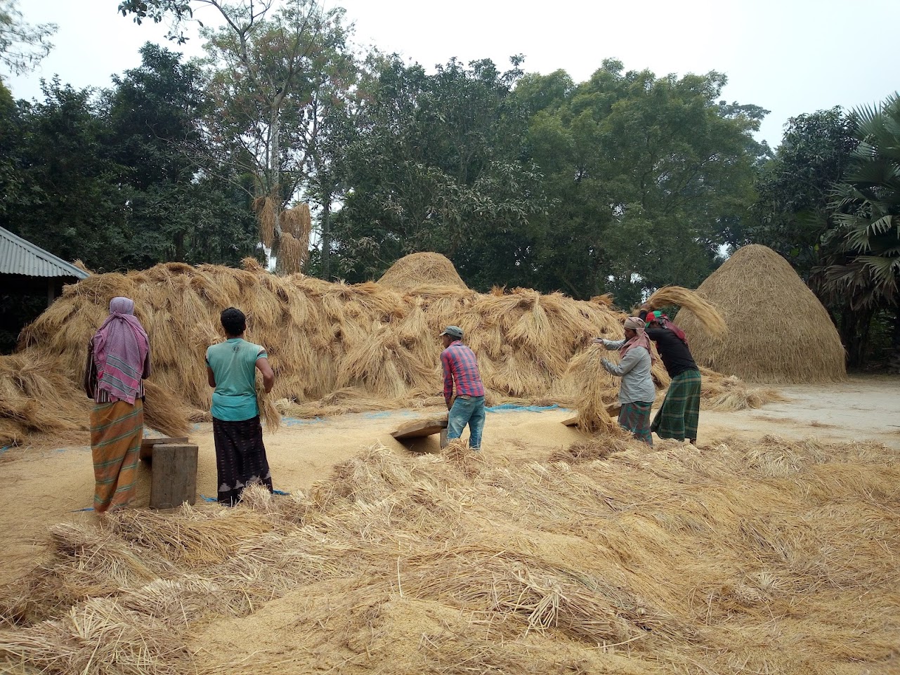 Highlights of Rajshahi - Image 2