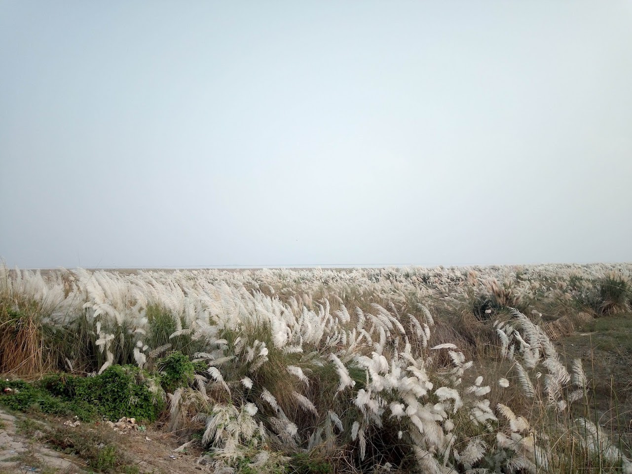 Highlights of Rajshahi - Image 7