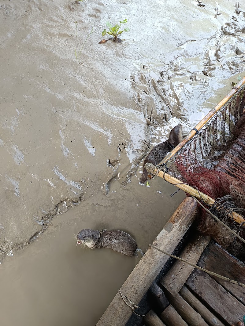 Dhaka to Sundarban Tour - Image 3