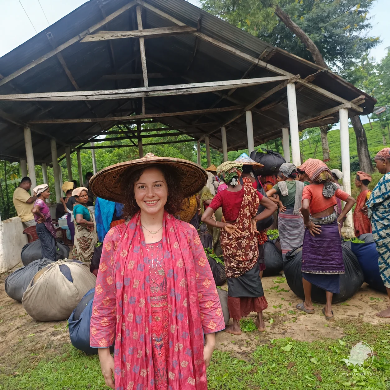 bangladesh tea plantation