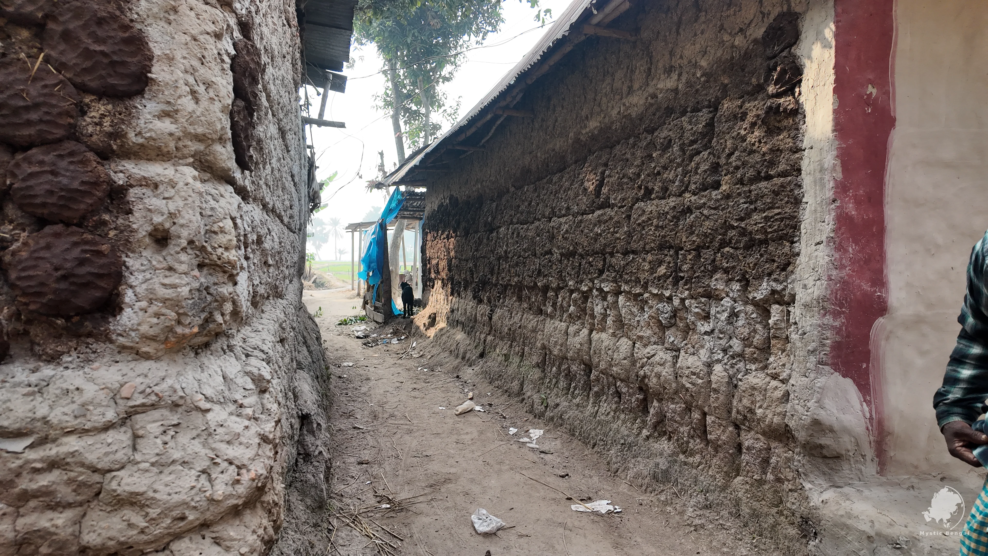 Traditional House in village of bangladesh