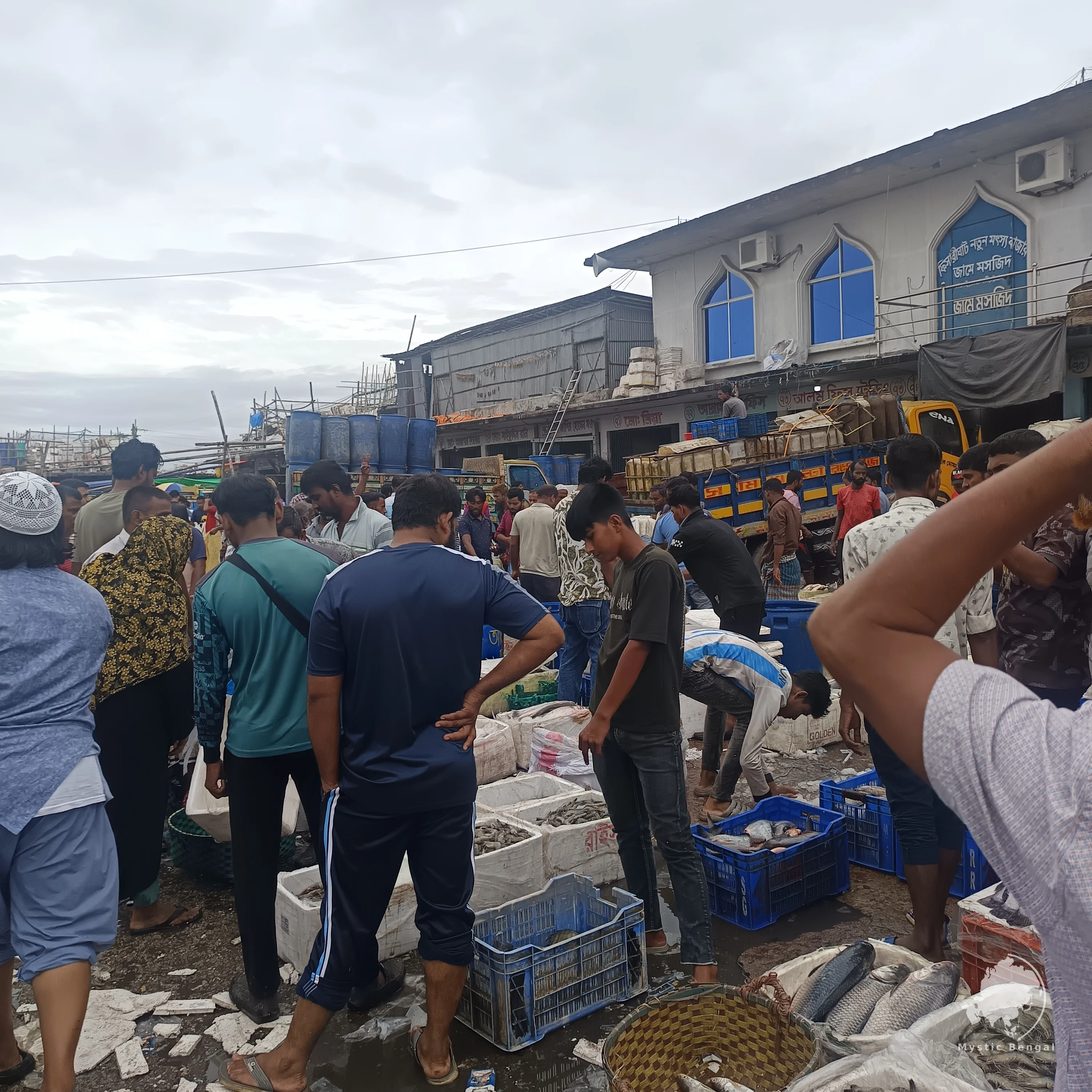 Places to visit in Chittagong , Biggest fish market of chittagong