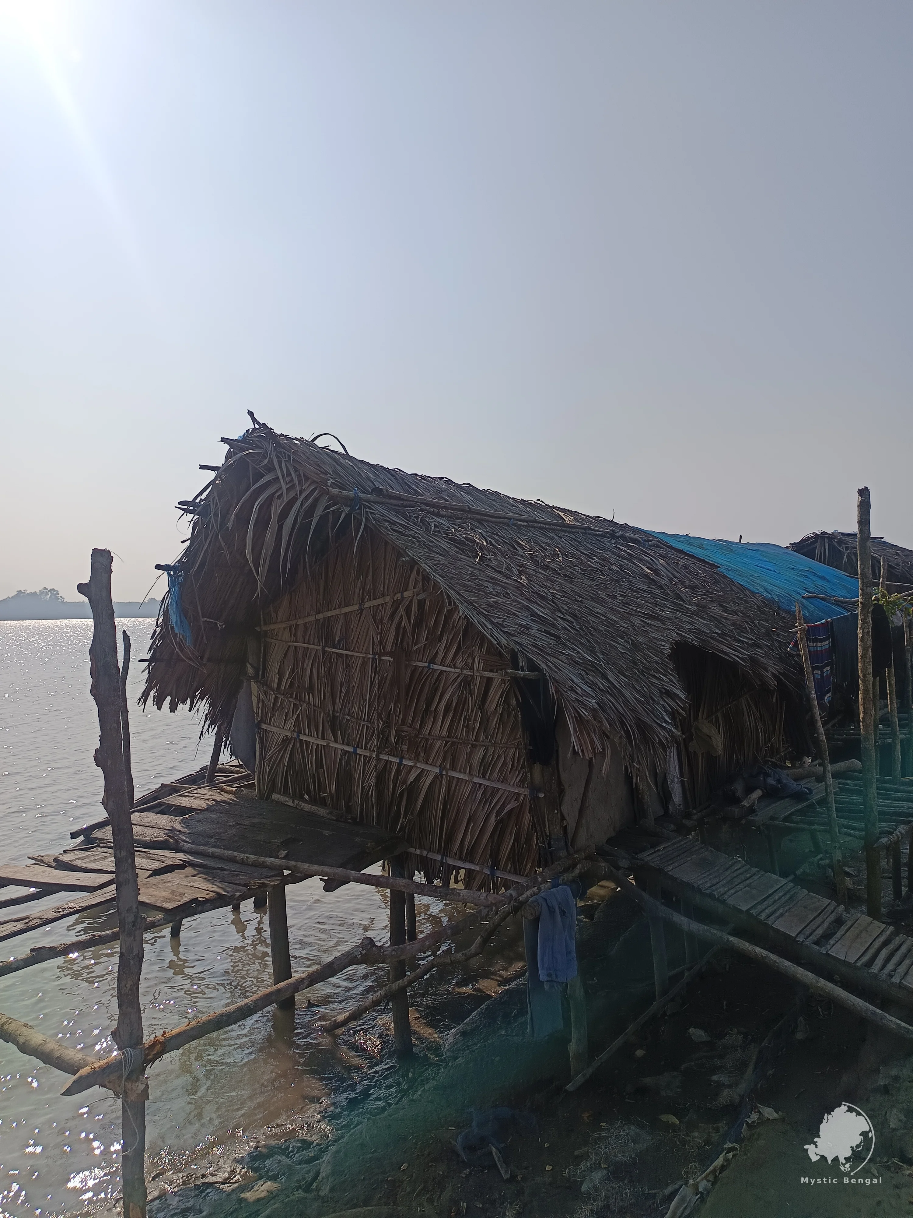 Sundarbans: The Heart of a Bangladesh Wildlife Tour