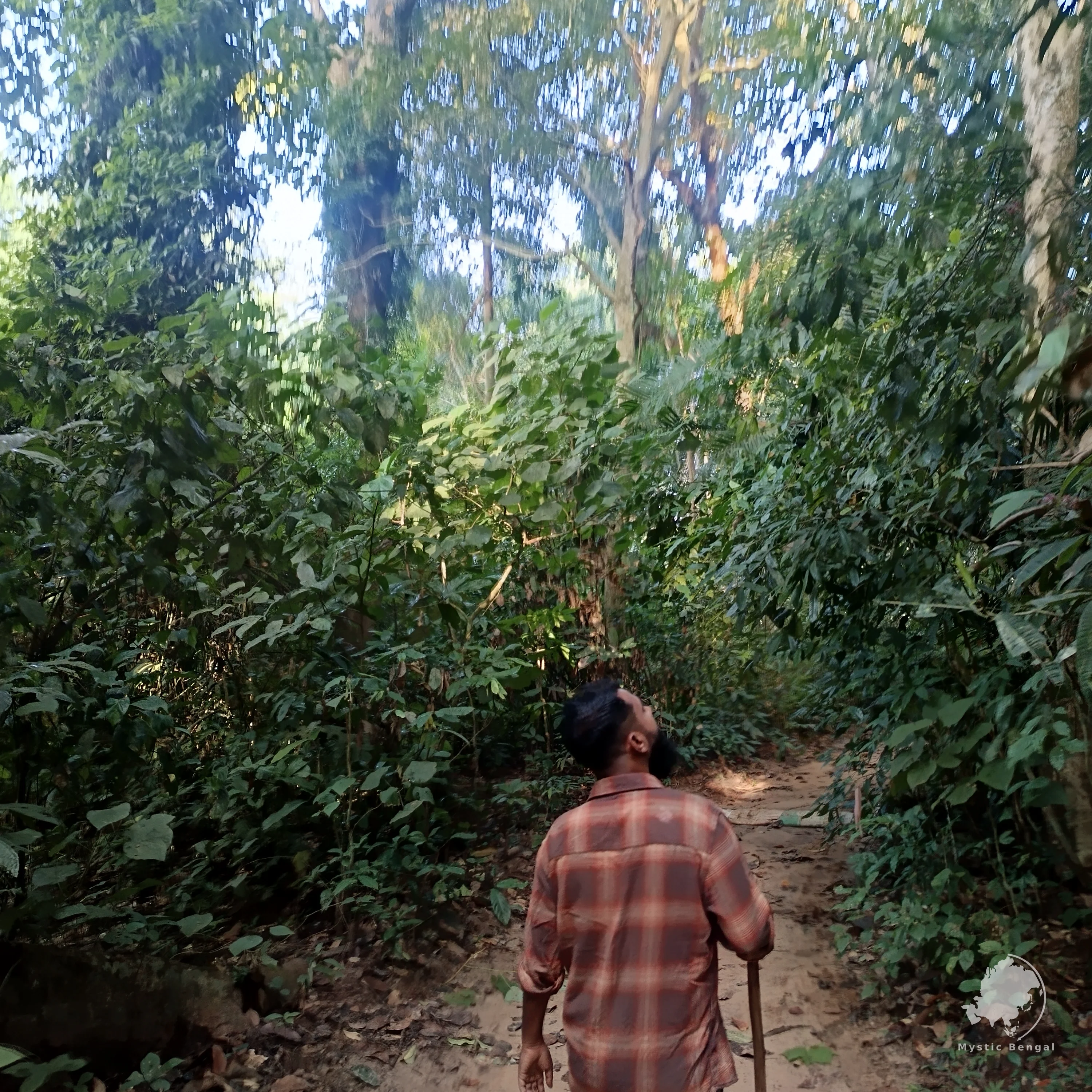 Lawachara National Park: Forest Wildlife Near Sreemangal