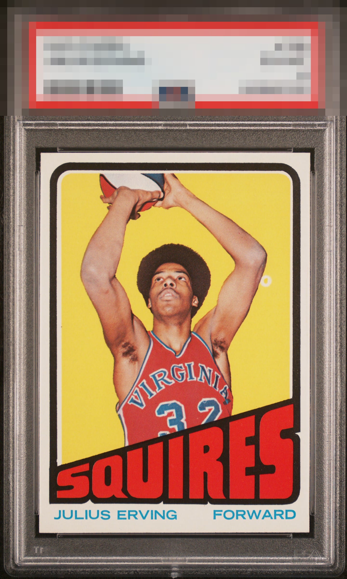 Julius Erving