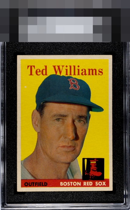 Ted Williams
