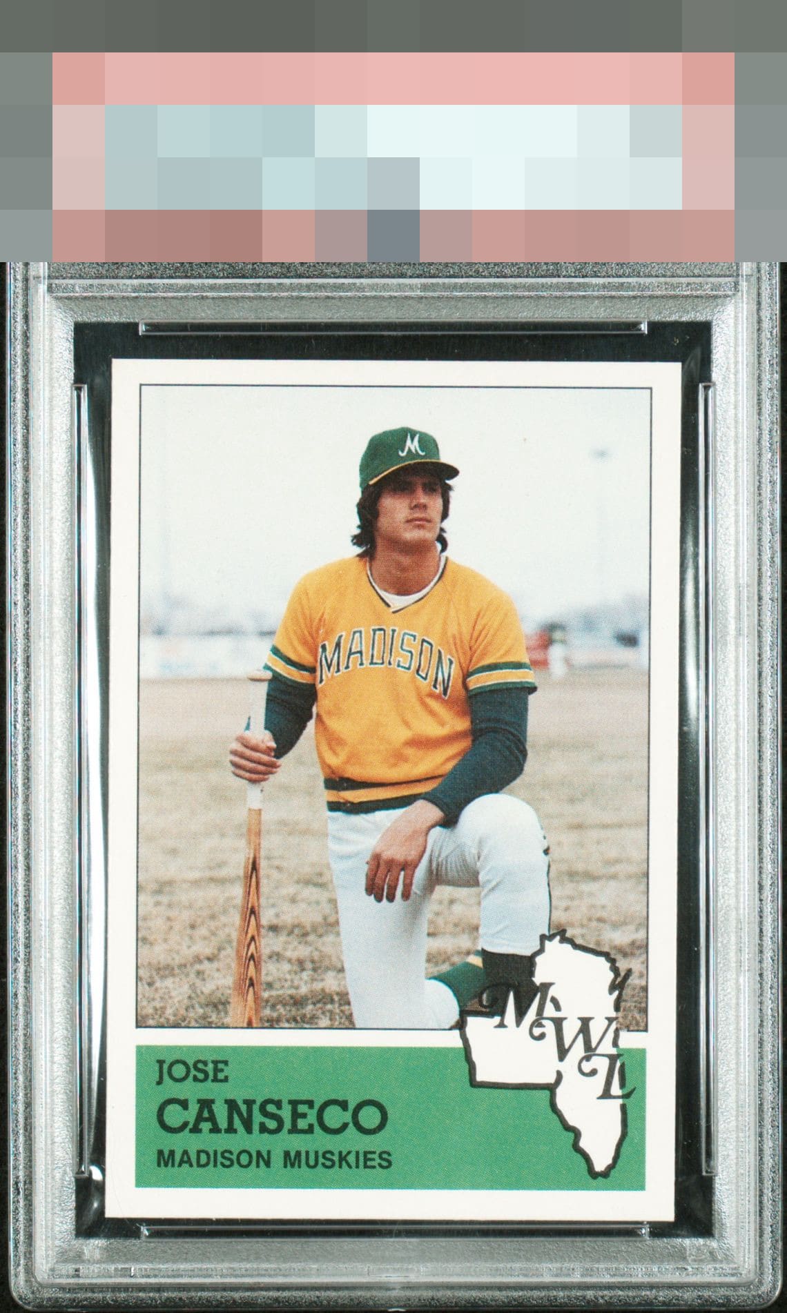Jose Canseco