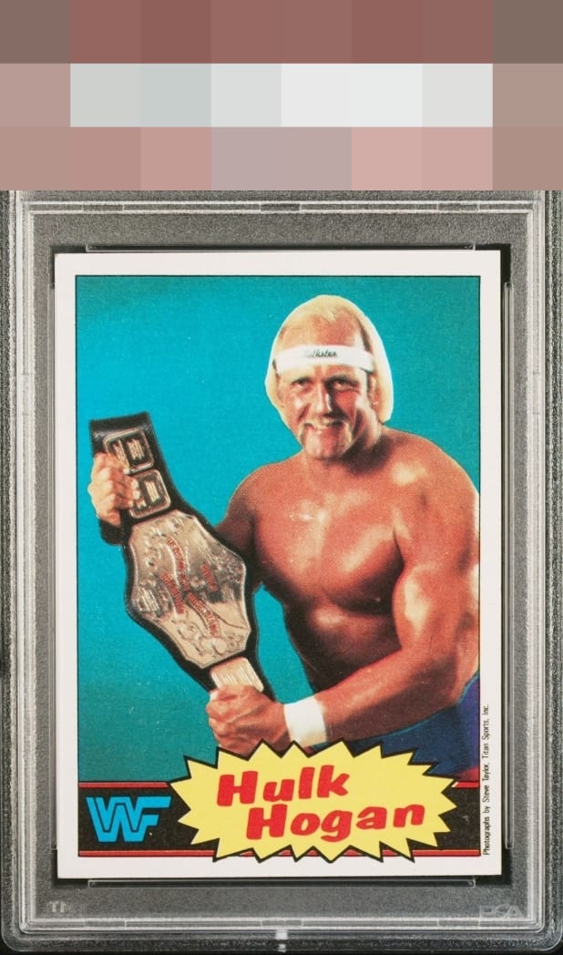 Hulk Hogan
