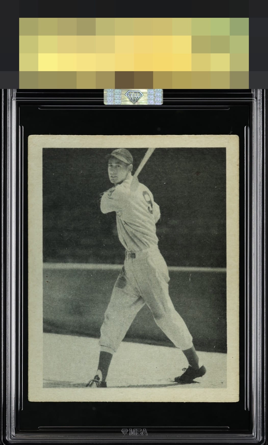 Ted Williams