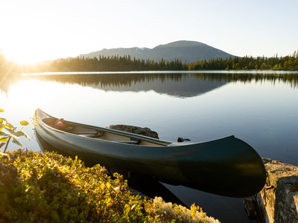 slider-image
