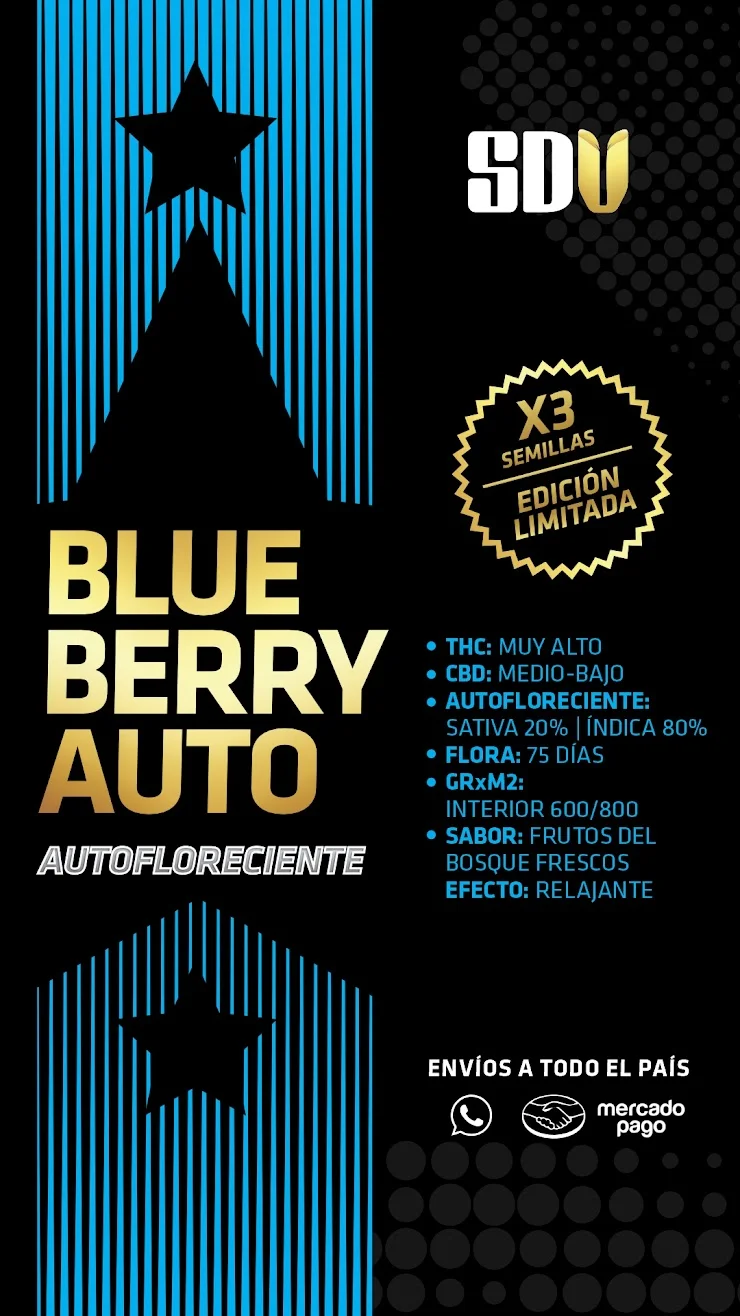 Blueberry AUTOFLORECIENTES