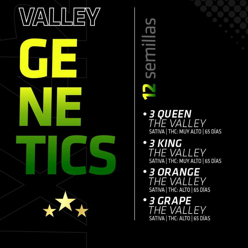 MIX THE VALLEY 12 AUTOFLORECIENTES