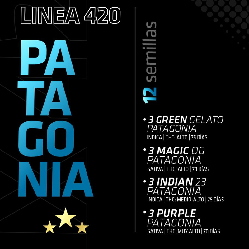 MIX PATAGONIA 12 AUTOFLORECIENTES