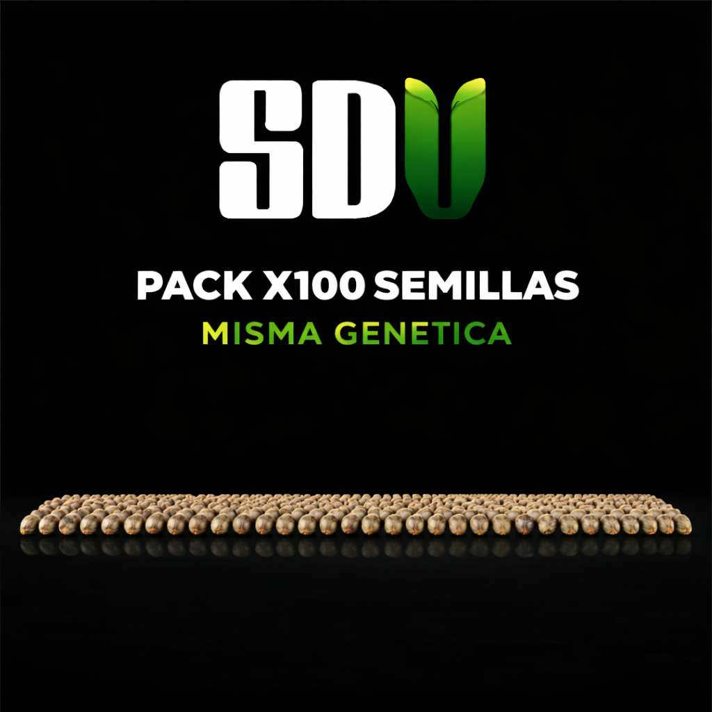 🌟 PACK 100 + 20 SEMILLAS AUTO DE REGALO