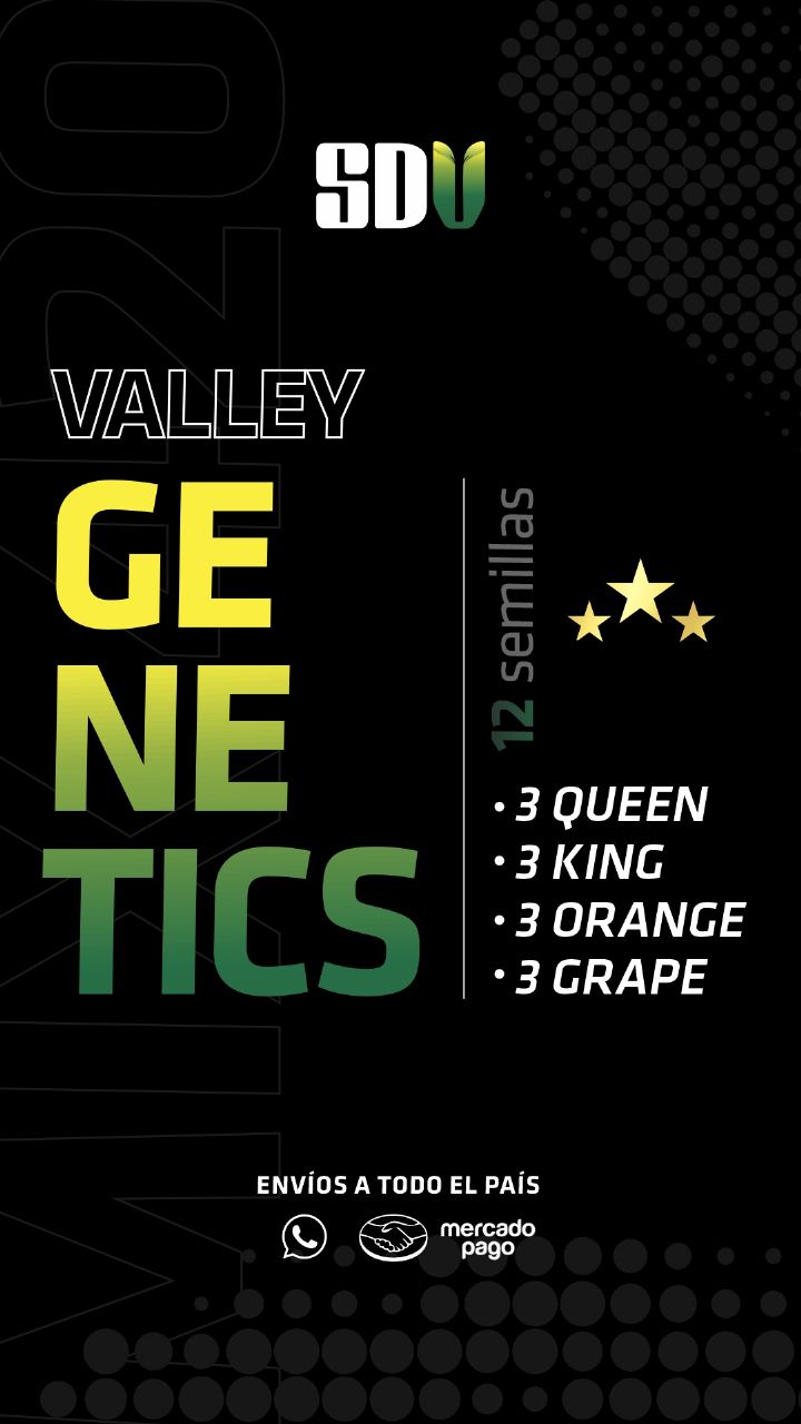 MIX THE VALLEY 12 AUTOFLORECIENTES