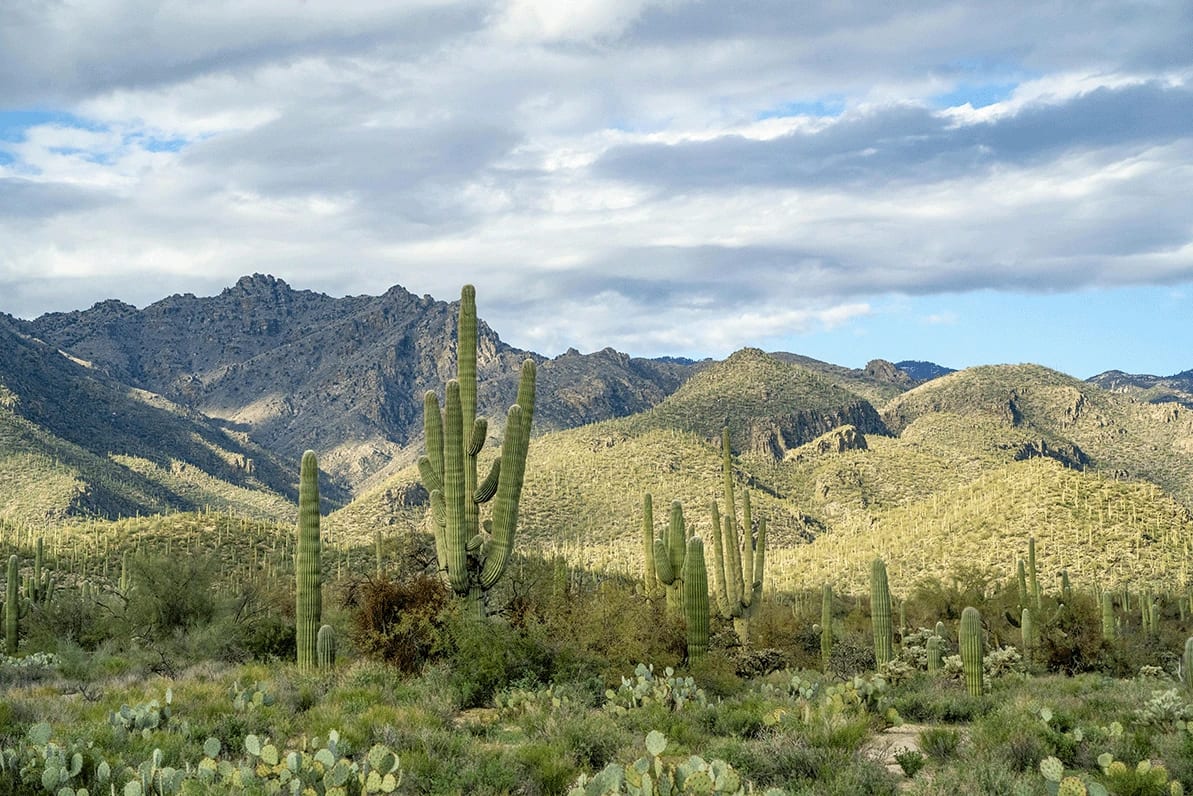 Tucson office location