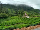 Megamalai Forest Standoff: Why Tamil Nadu’s Green Controversy Is Dominating Google Trends