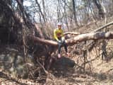 Why Your Body Leans Into a Hill: The Physics Behind the Up‑and‑Down Tilt
