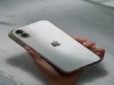 iPhone 16 Price Slash in India: Rs 12,901 Cut Sparks Market Frenzy