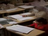 अखिलेश यादव के आरोपों की पुष्टि: आजमगढ़ वोटर लिस्ट में 13 ‘विकास यादव’, BLO और कंप्यूटर असिस्टेंट पर तेज कार्रवाई