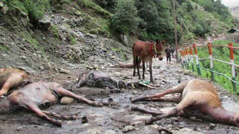 Uttarakhand Floods Kill 7, Close 172 Roads; UP & Jharkhand Also Struck
