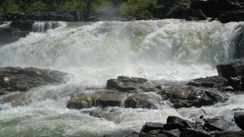 Tragedy in Madhya Pradesh: Four Brothers Die Within Days After Waterfall Trip