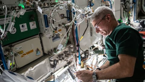 From V‑2 Rockets to the International Space Station: How Fruit Flies Pioneered Space Biology