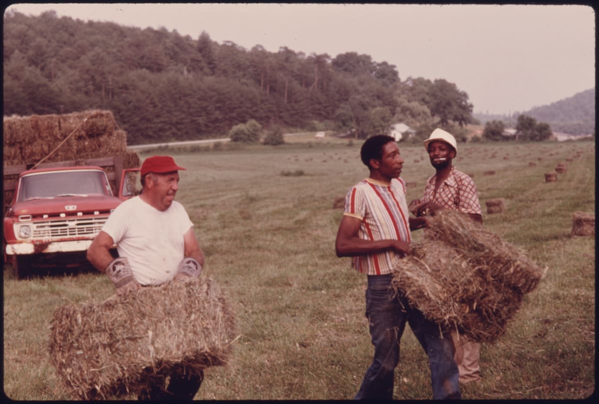 Invisible Farm Workers Power India's Economy as AI Turns a Blind Eye