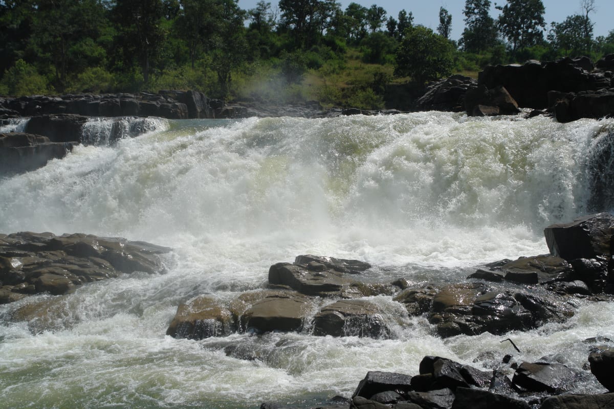 Tragedy in Madhya Pradesh: Four Brothers Die Within Days After Waterfall Trip