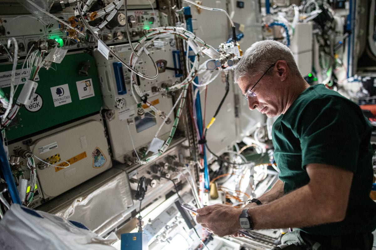 From V‑2 Rockets to the International Space Station: How Fruit Flies Pioneered Space Biology