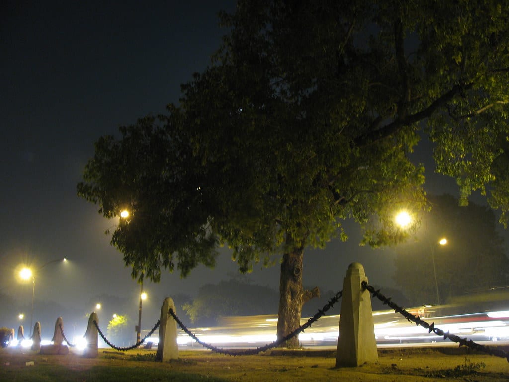 Delhi’s Parks in the Dark: Only 16 CCTV‑Equipped, 520 Lacking Lights