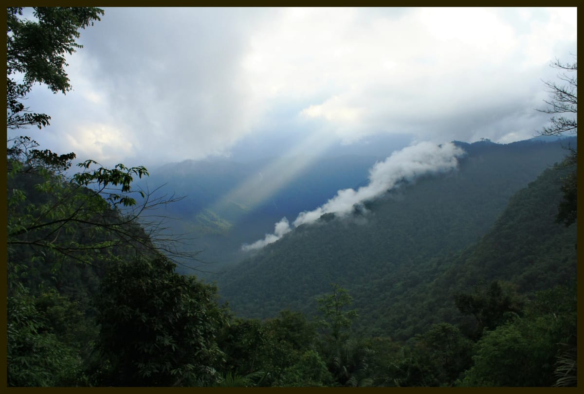 India’s Monsoon Shift: From Southwest to Northeast – Understanding the Country’s ‘Second Monsoon’
