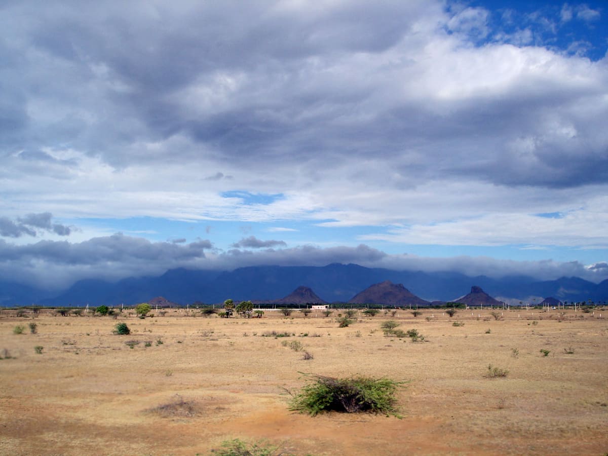 Tamil Nadu Braces for Heavy Rain on June 22: Chennai Leads the Surge