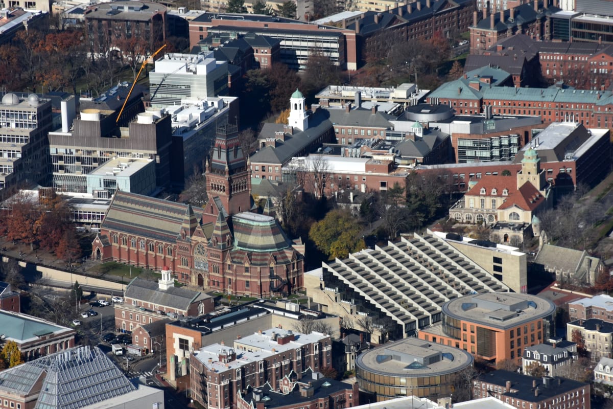 Harvard’s Diversity Drive Backfires: How Asian‑American Merit Is Being Undermined