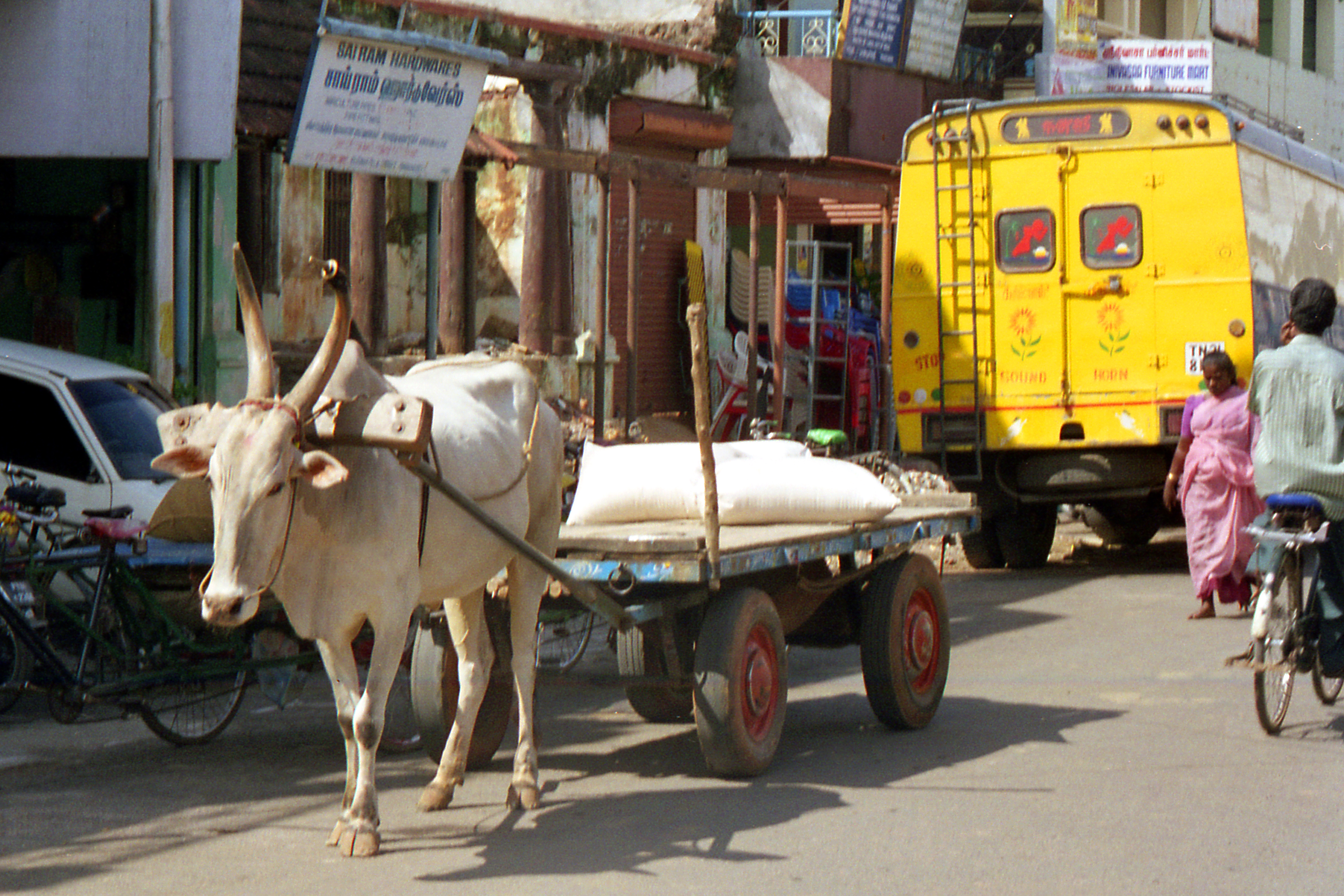 Tamil Nadu street bullock cart