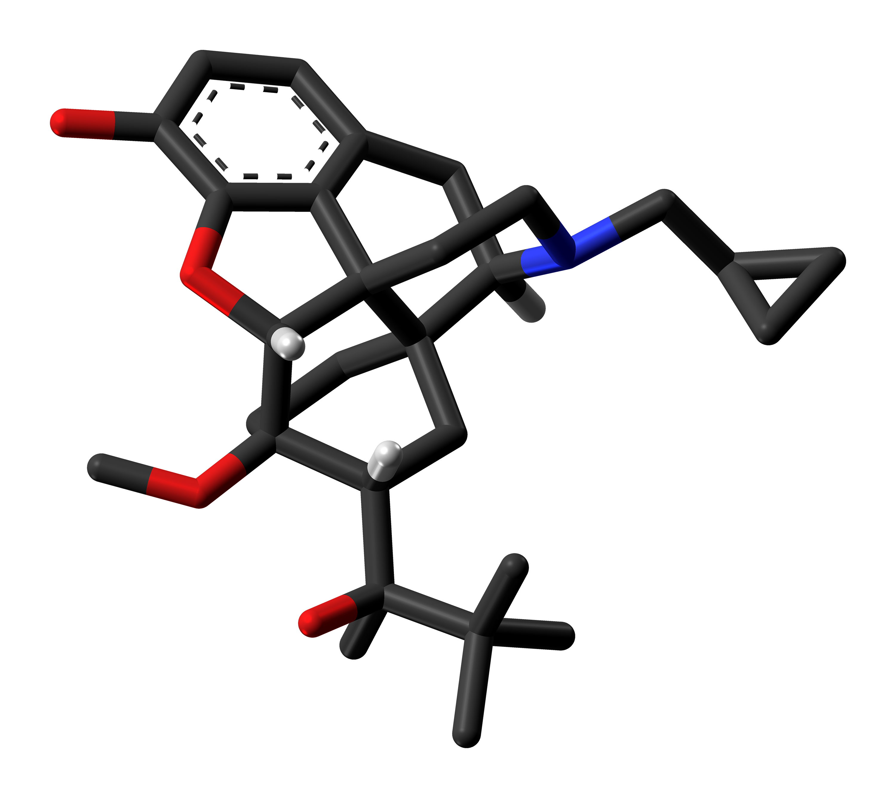 asymmetric catalysis laboratory