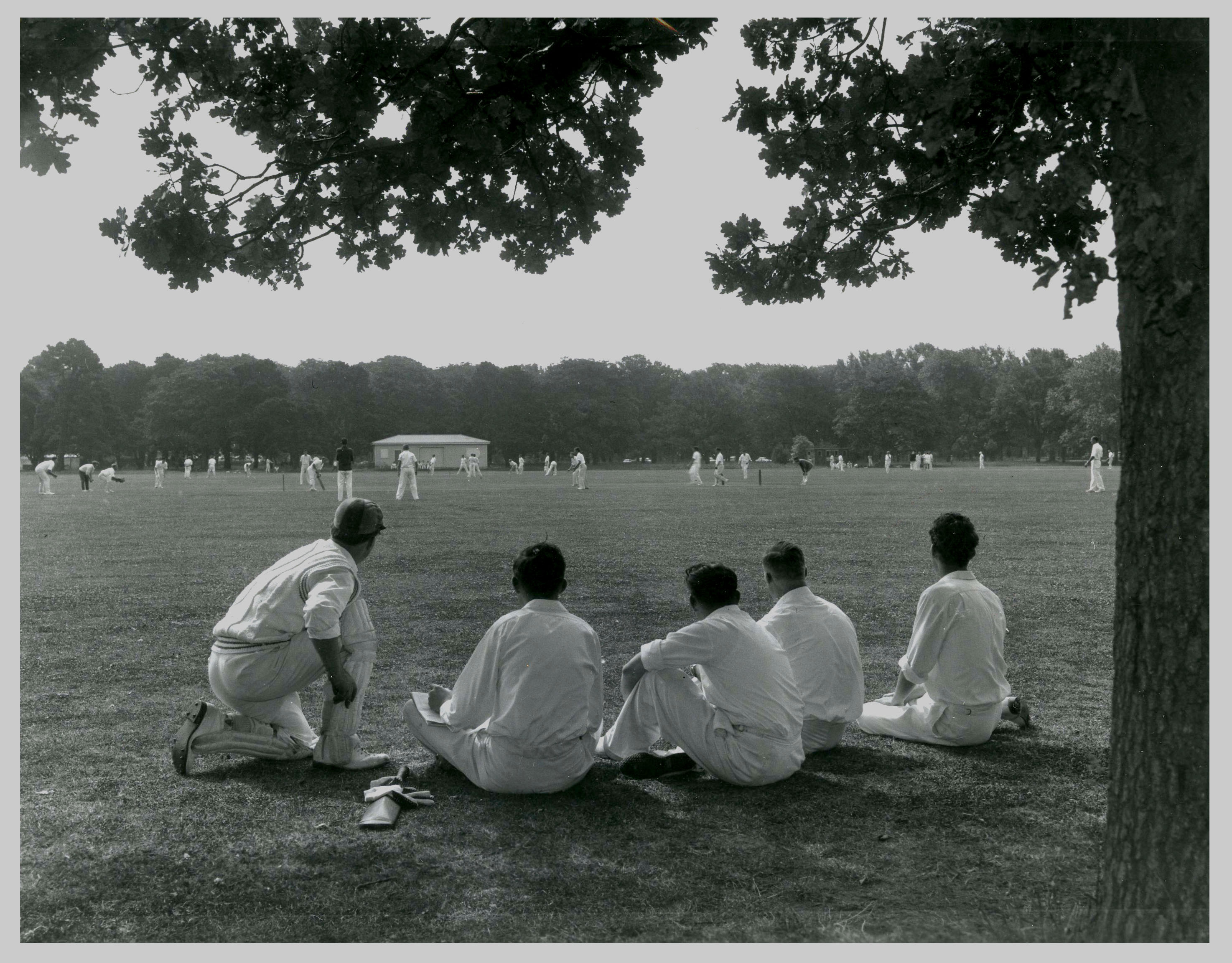 Hagley Oval pitch conditions