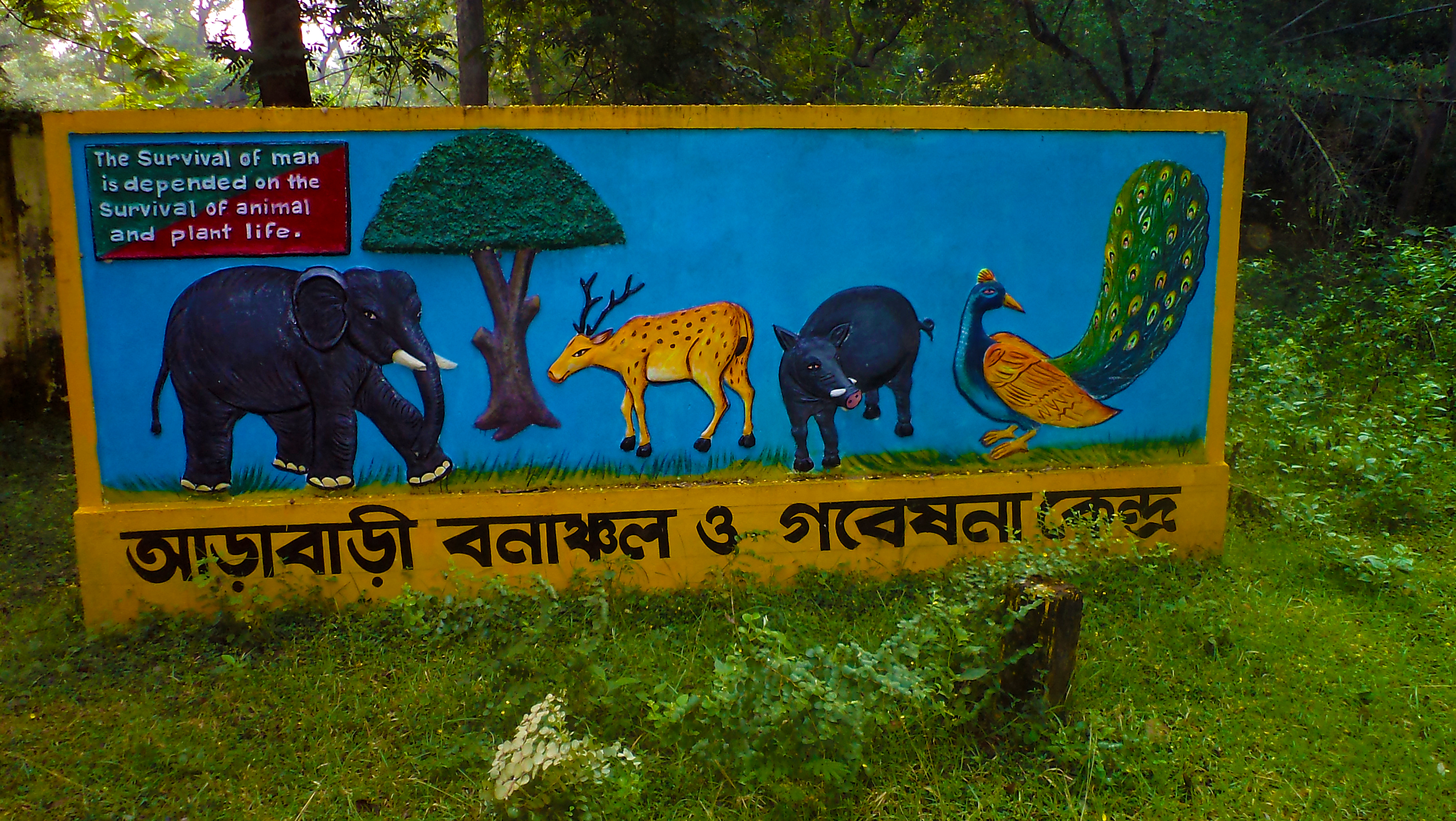 West Bengal forest community