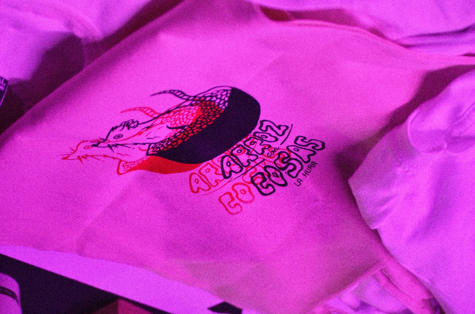 Proyecto Fotografía