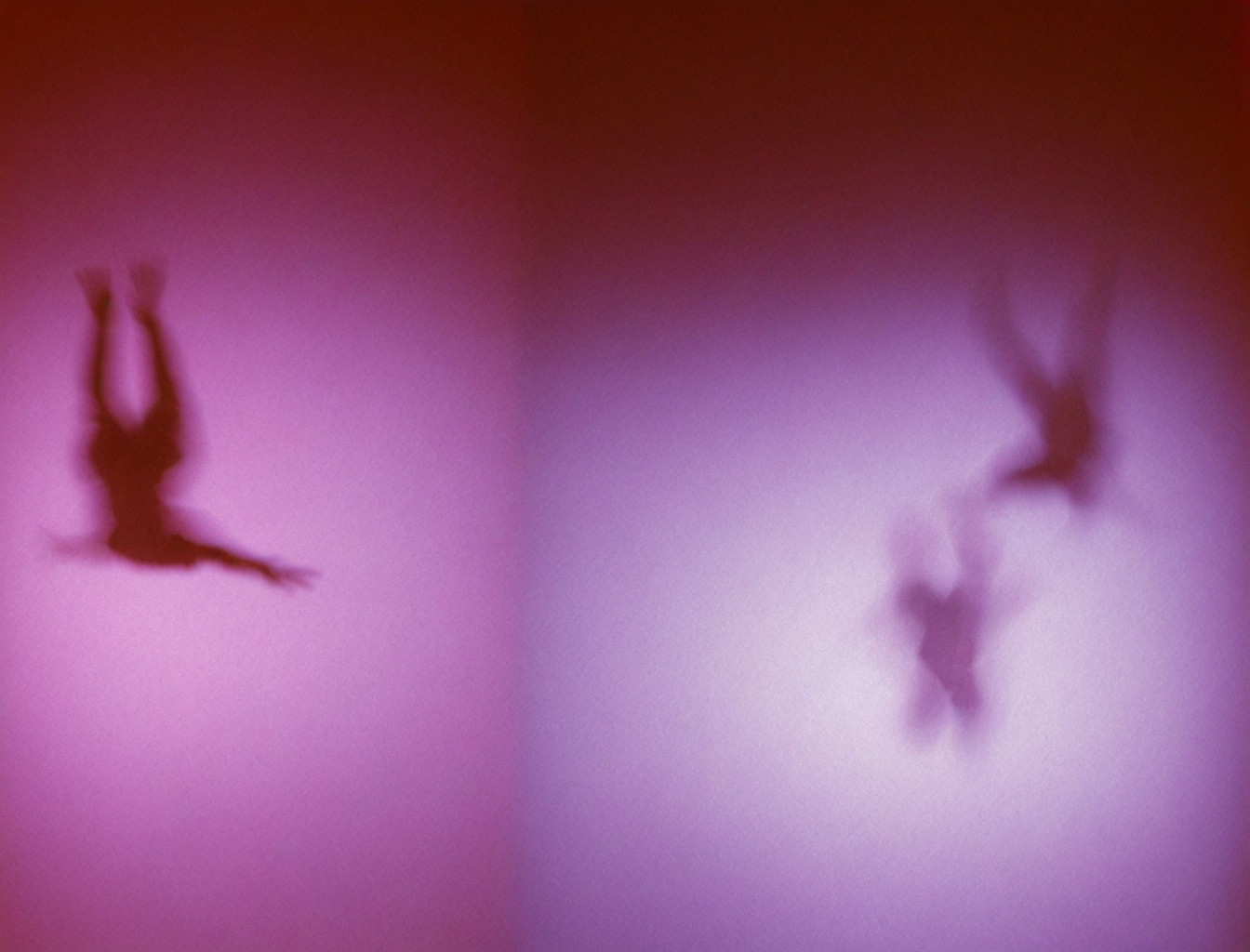 Proyecto Fotografía