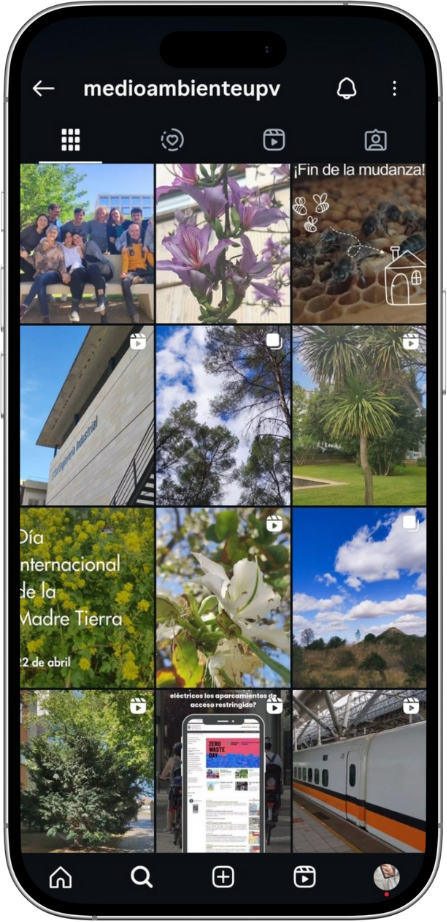 Mockup de perfil o feed de Instagram.